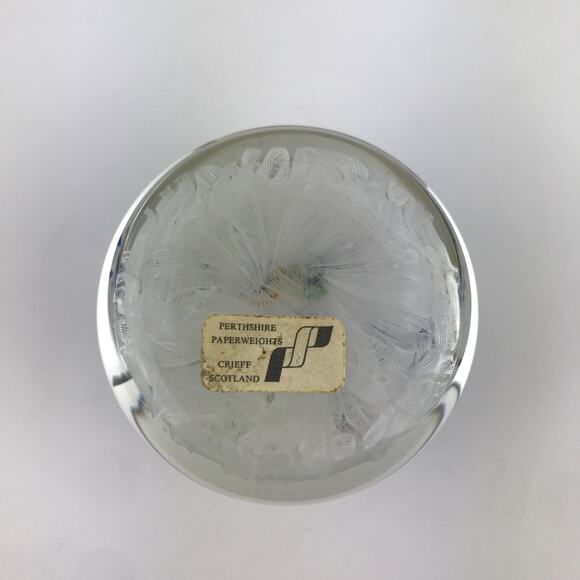 Perthshire PP11 1976 Spaced Millefiori Animal Cane Penguin Squirrel Paperweight - Picture 3 of 13